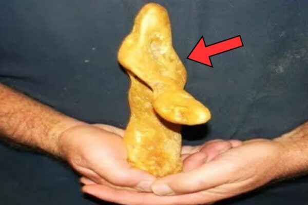 Man Thinks He’s Found a Lump of Gold—Jeweler Is Shocked When He Learns What It Really Is